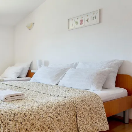 Aurora Apartment